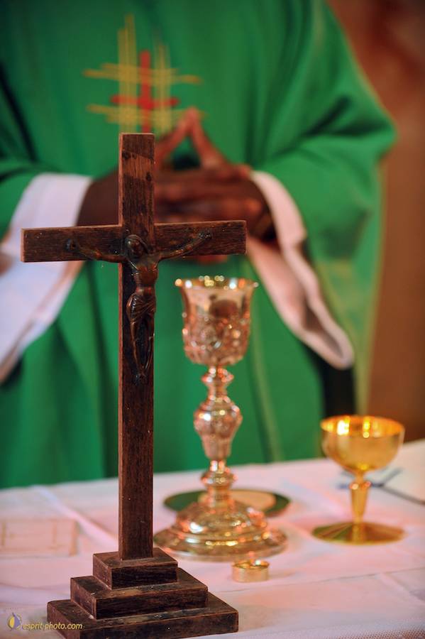 Nom de l'image : D30042269_1_(c)Norbert-JUNG — Description :